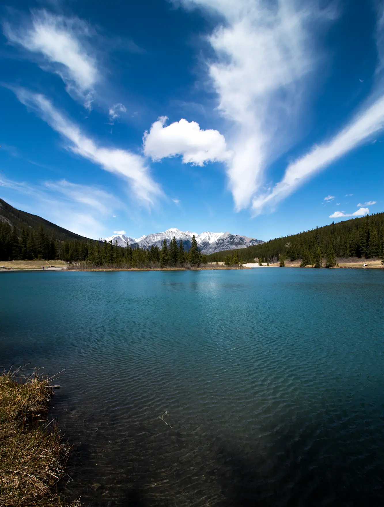 Cascade Ponds Landscape